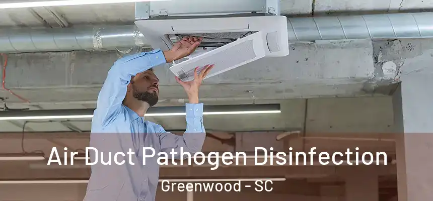 Air Duct Pathogen Disinfection Greenwood - SC
