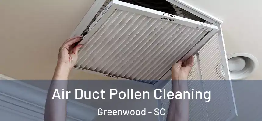  Air Duct Pollen Cleaning Greenwood - SC
