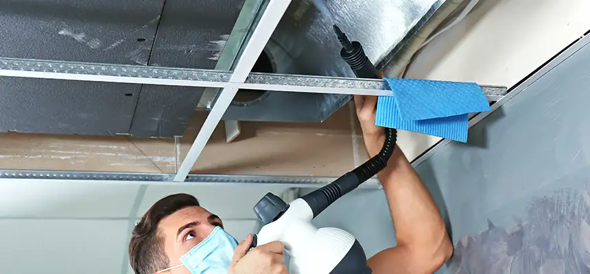 Our Air Duct Rodent Removal Services in Greenwood, SC