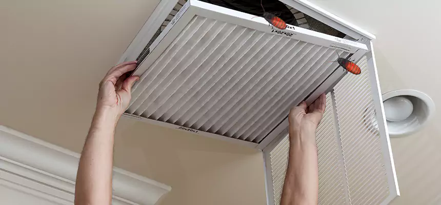 Our Insect Removal from Air Ducts Services in Greenwood, SC