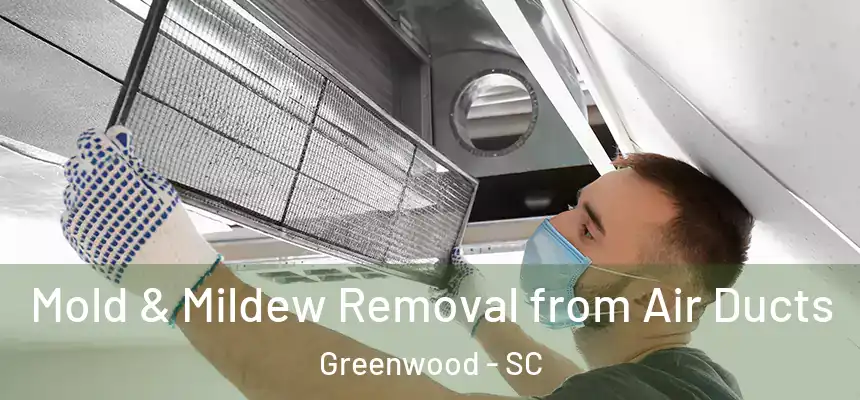  Mold & Mildew Removal from Air Ducts Greenwood - SC