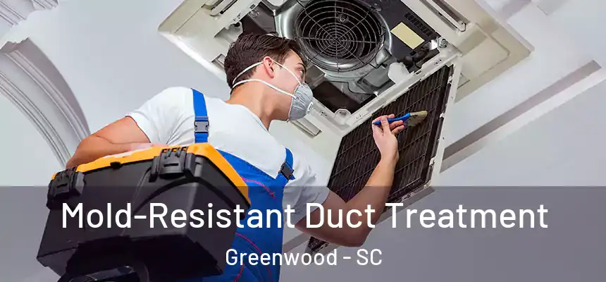  Mold-Resistant Duct Treatment Greenwood - SC