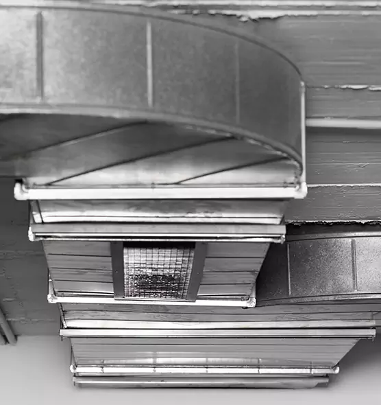 Professional Air Duct Pet Hair Removal in Greenwood, SC